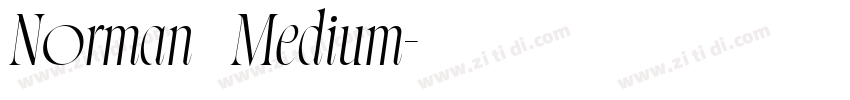 Norman   Medium字体转换